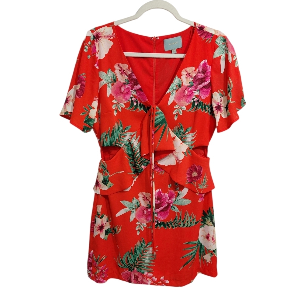 Skies Are Blue Red Floral Dress with Tie Front